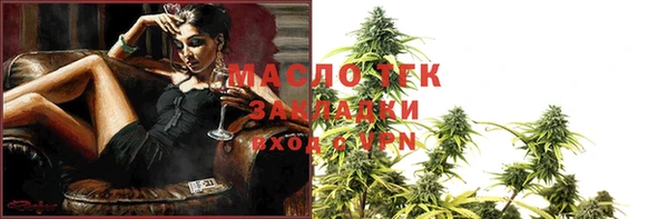 гашик Михайлов