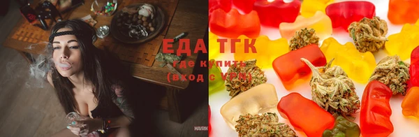 гашик Михайлов