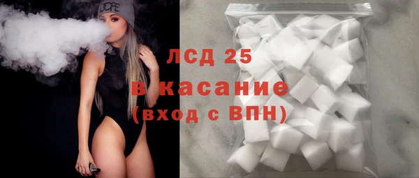 гашик Михайлов