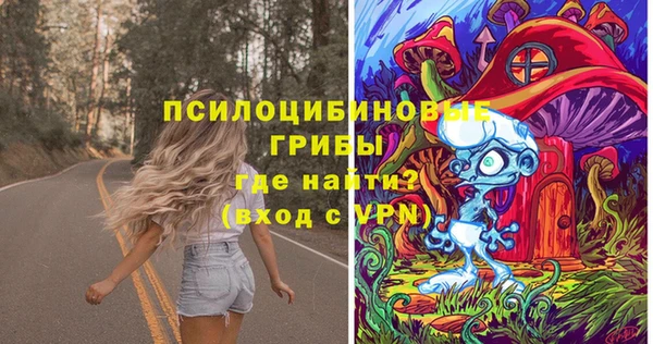 гашик Михайлов