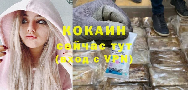 гашик Михайлов